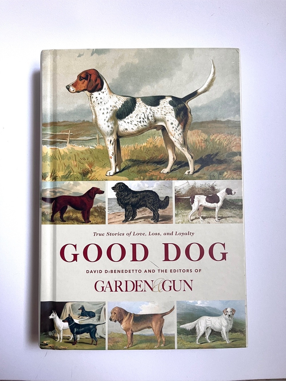 Good Dog Hardcover Book True Stories of Love, Loss & Loyalty. EUC 315 pages